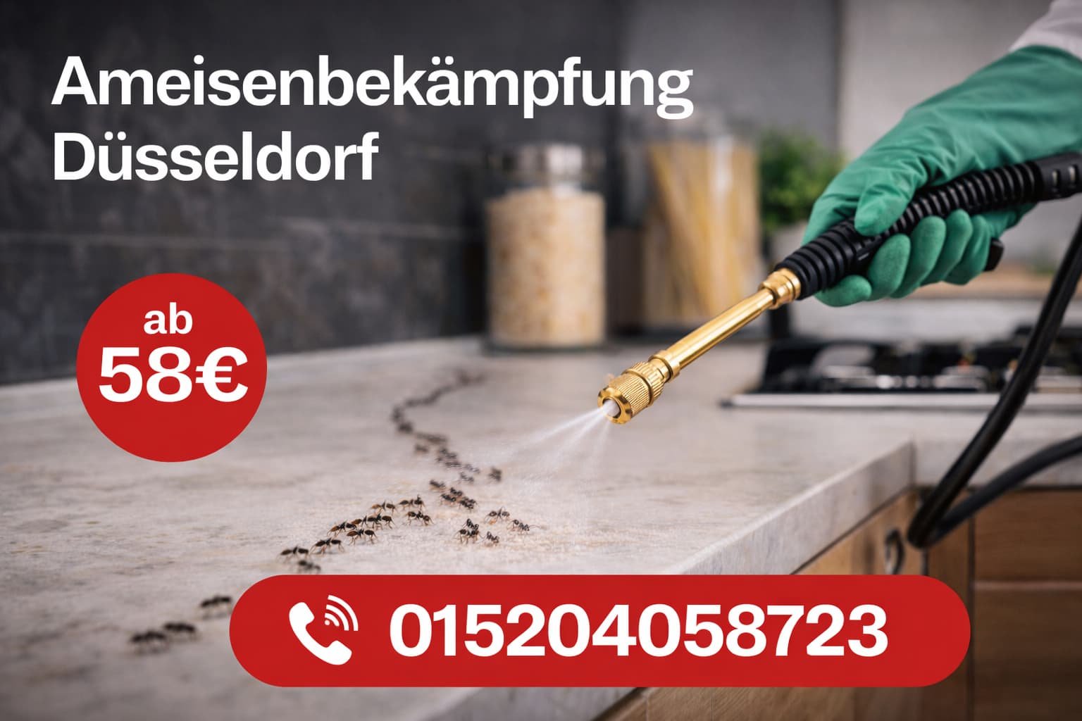 Ameisenbekämpfung Düsseldorf