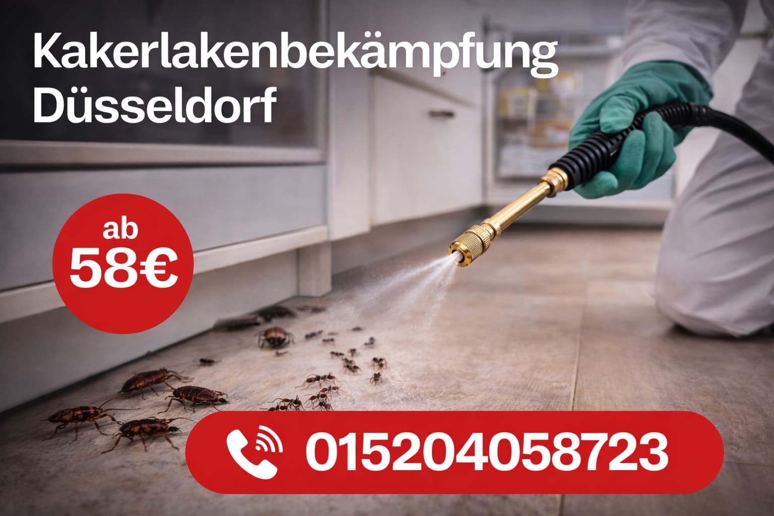 Kakerlakenbekämpfung Düsseldorf
