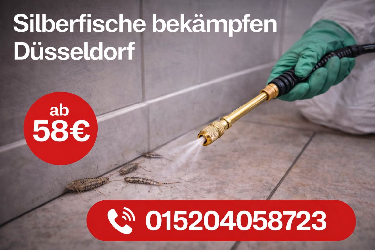 silberfische bekämpfen düsseldorf