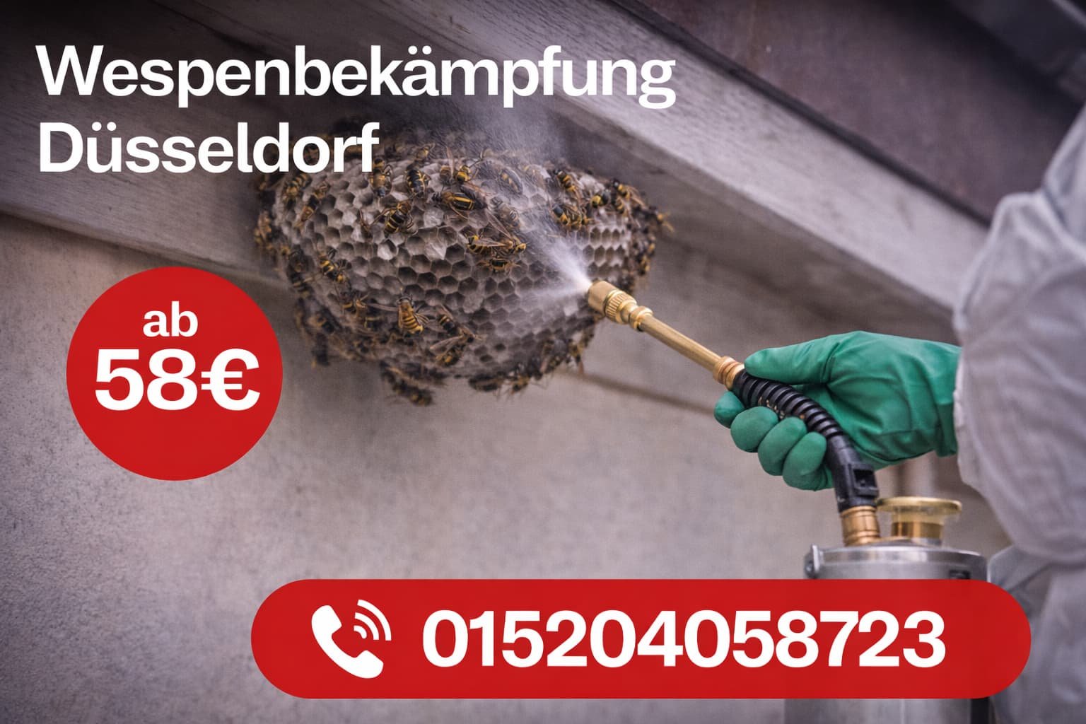 Wespenbekämpfung Düsseldorf