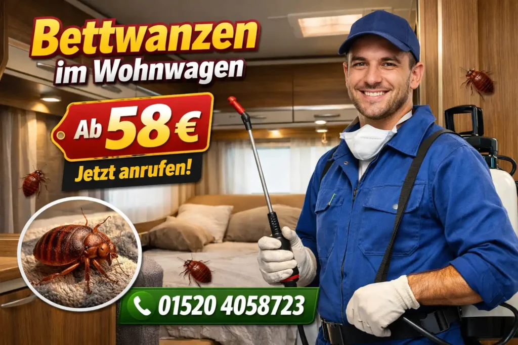 bettwanzen im wohnwagen