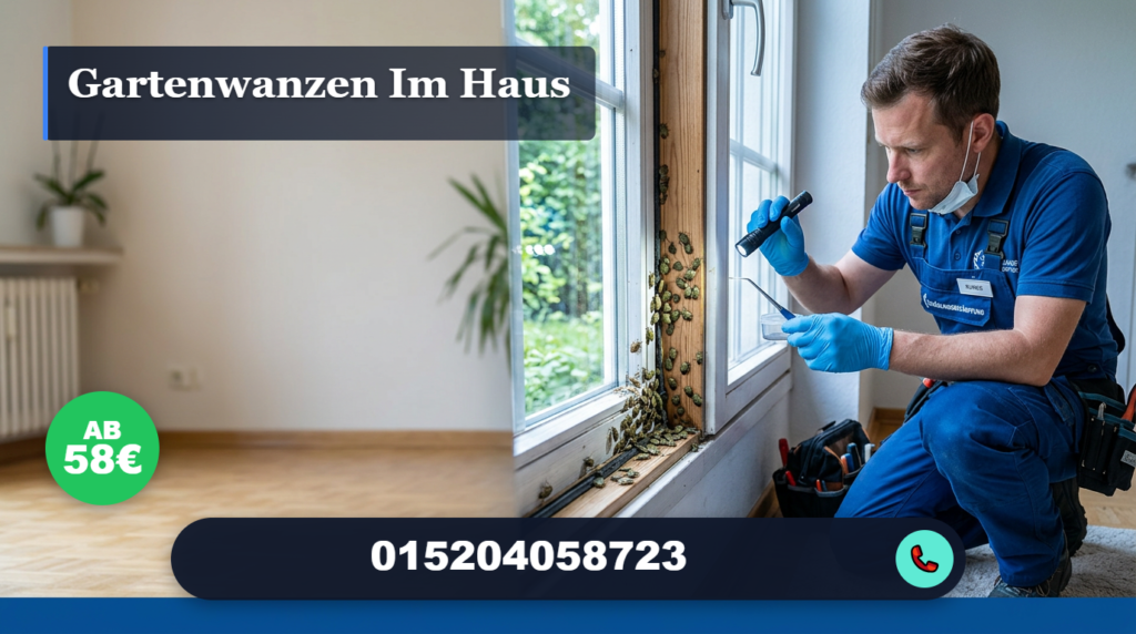 gartenwanzen im haus