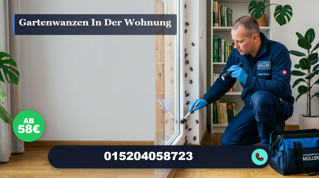 gartenwanzen in der wohnung