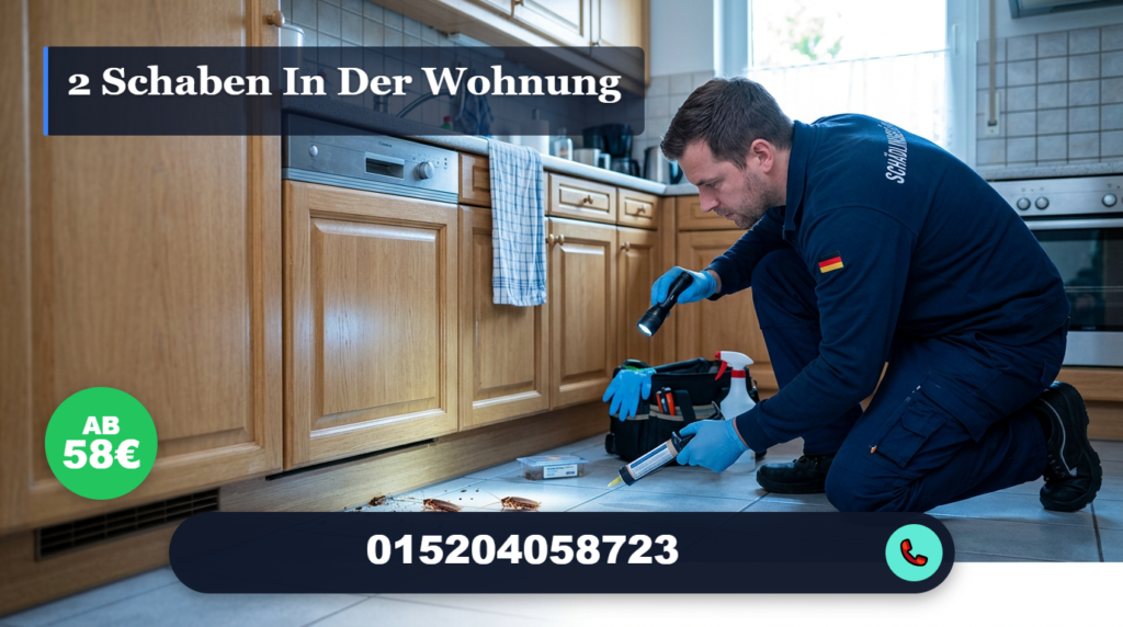 2 schaben in der wohnung