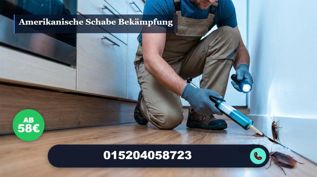 amerikanische schabe bekämpfung