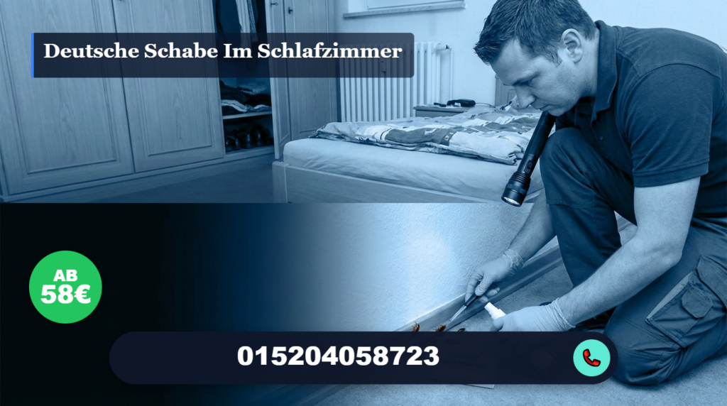 deutsche schabe im schlafzimmer