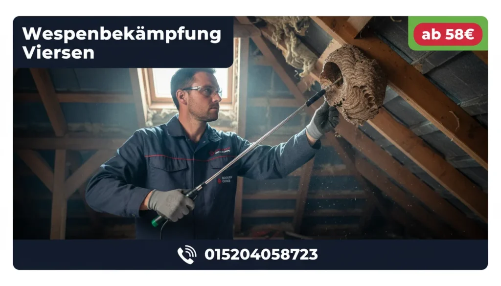 wespenbekämpfung viersen